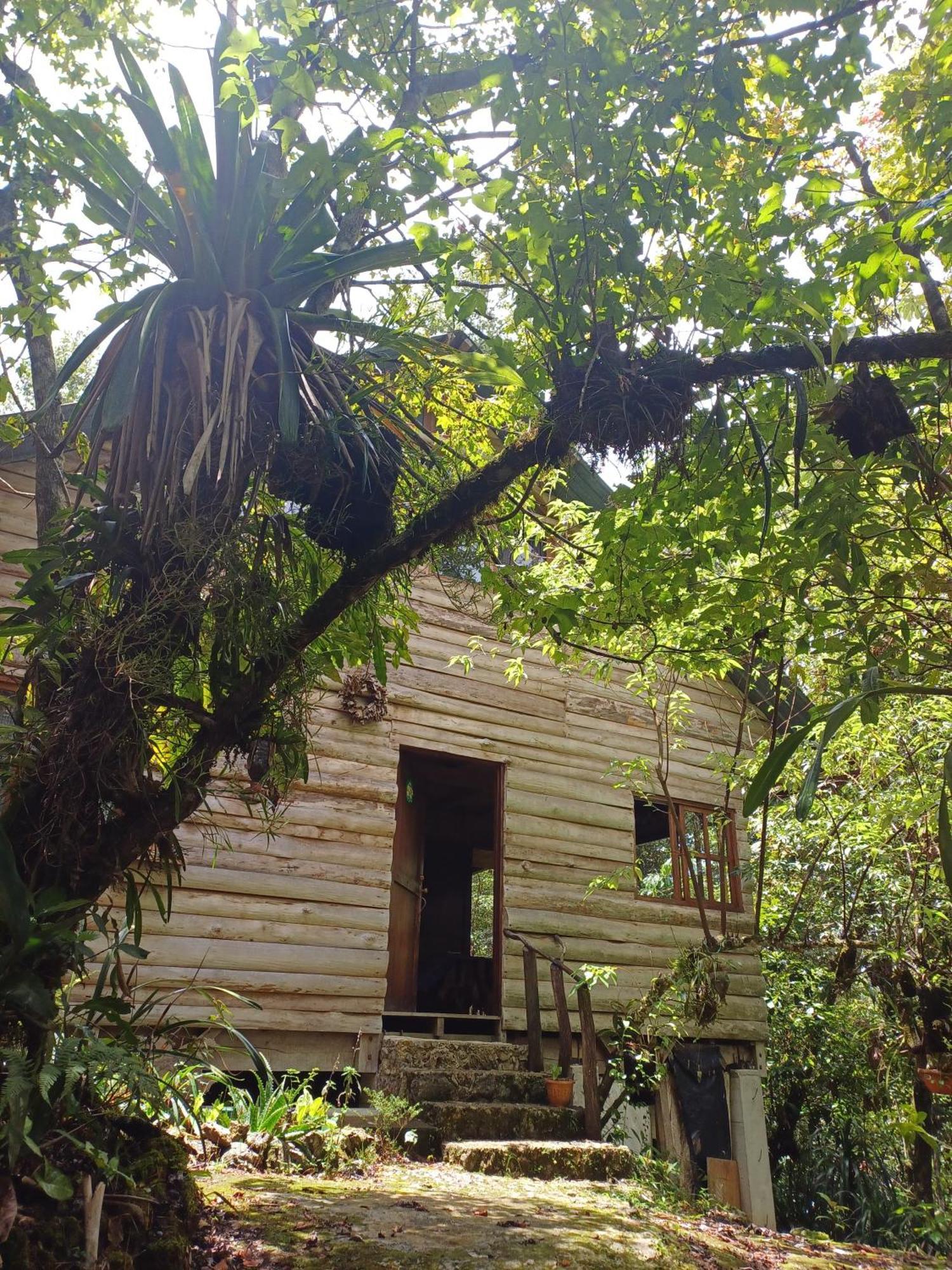 Paraiso Verde Chijou Exterior foto