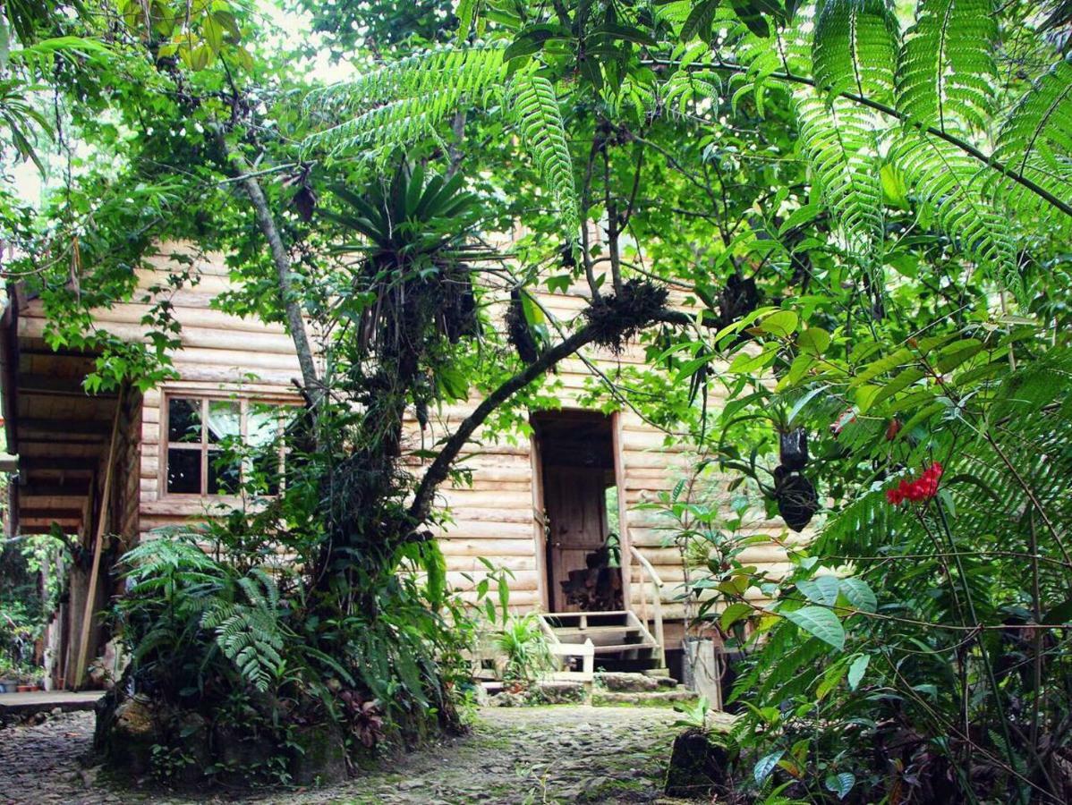 Paraiso Verde Chijou Exterior foto